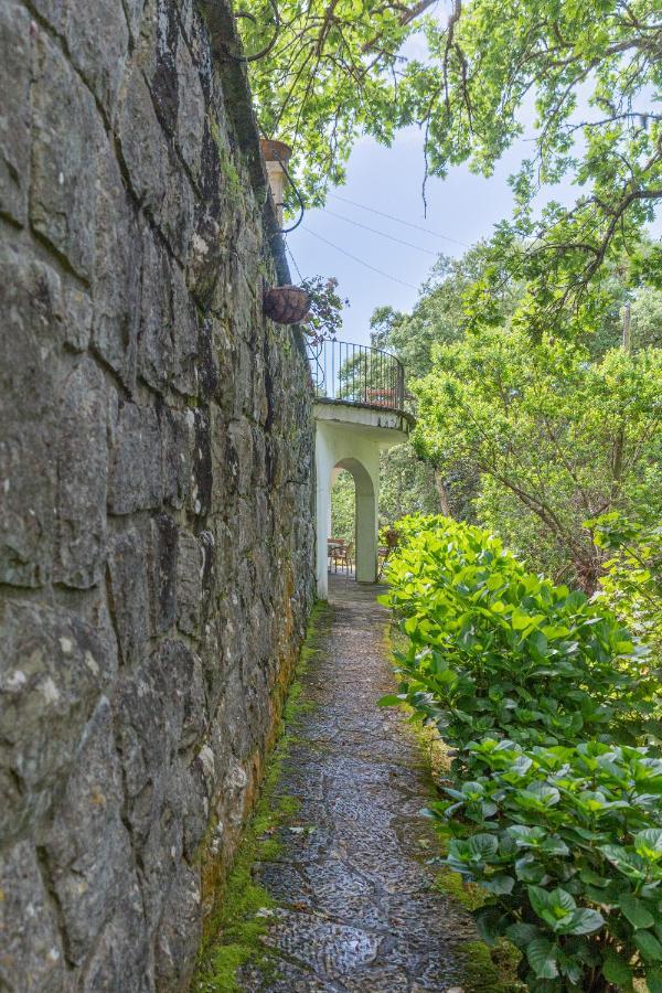 Quinta Biologica, Com Vista, Na Serra De Sintra Exterior photo